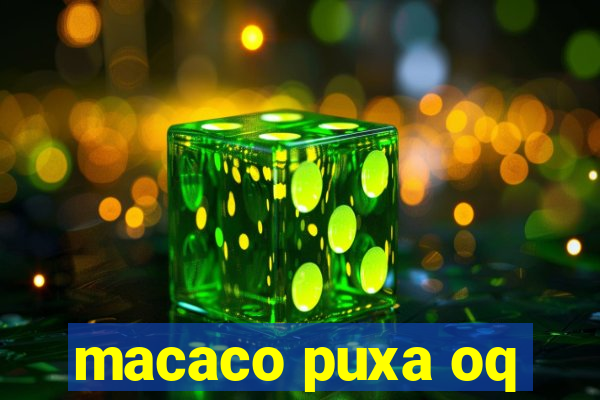 macaco puxa oq